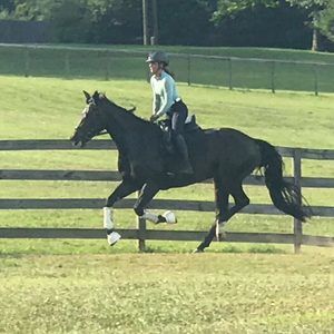 Meet your Posher, Diane